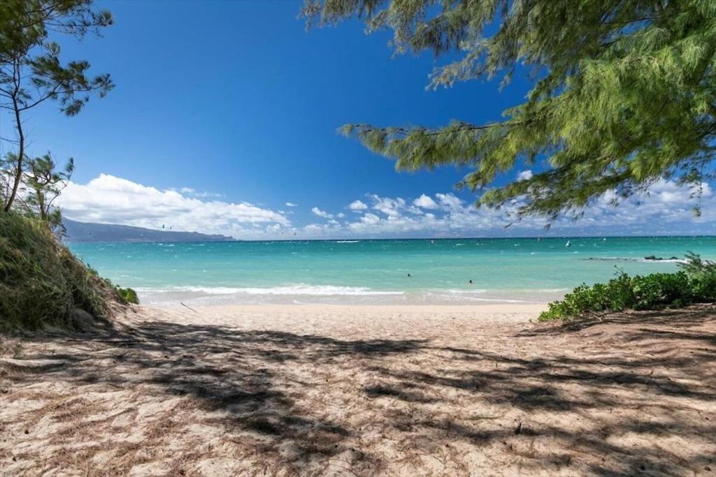 Unit 14 Maui Ohana Modern Studio Wailuku المظهر الخارجي الصورة